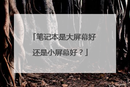 笔记本是大屏幕好还是小屏幕好?