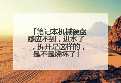 笔记本机械硬盘感应不到,进水了,拆开是这样的,是不是烧坏了