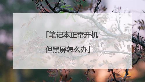 笔记本正常开机但黑屏怎么办