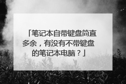 笔记本自带键盘简直多余,有没有不带键盘的笔记本电脑?