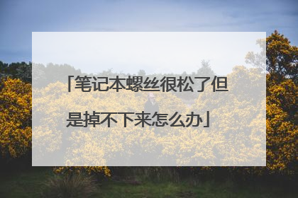 笔记本螺丝很松了但是掉不下来怎么办