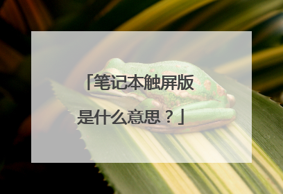 笔记本触屏版是什么意思?