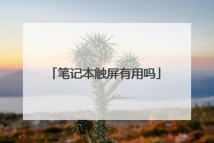 笔记本触屏有用吗