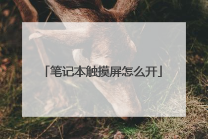 笔记本触摸屏怎么开