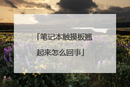 笔记本触摸板翘起来怎么回事