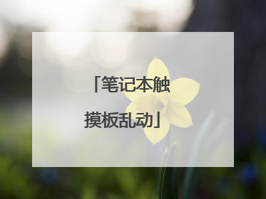 笔记本触摸板乱动