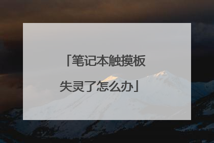 笔记本触摸板失灵了怎么办