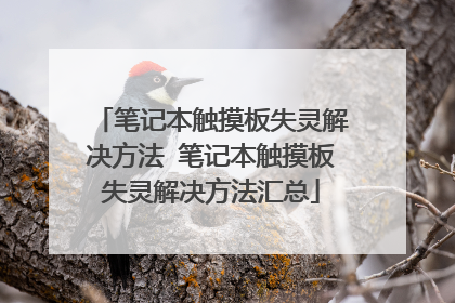笔记本触摸板失灵解决方法 笔记本触摸板失灵解决方法汇总