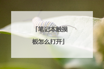 笔记本触摸板怎么打开