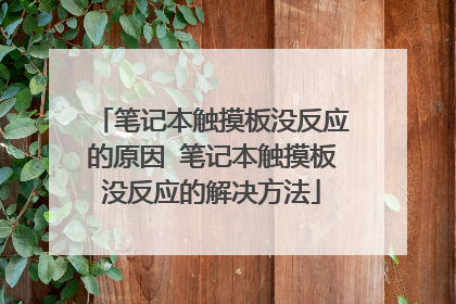 笔记本触摸板没反应的原因 笔记本触摸板没反应的解决方法