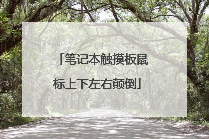 笔记本触摸板鼠标上下左右颠倒