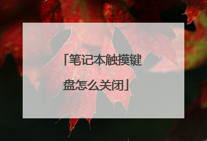 笔记本触摸键盘怎么关闭