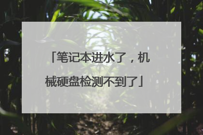 笔记本进水了,机械硬盘检测不到了
