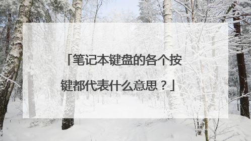 笔记本键盘的各个按键都代表什么意思?