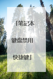 笔记本键盘禁用快捷键