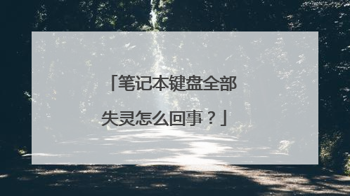 笔记本键盘全部失灵怎么回事？
