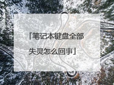 笔记本键盘全部失灵怎么回事