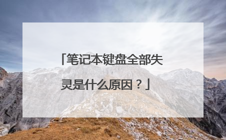 笔记本键盘全部失灵是什么原因？