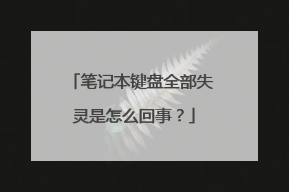 笔记本键盘全部失灵是怎么回事？