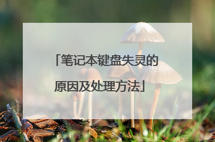 笔记本键盘失灵的原因及处理方法