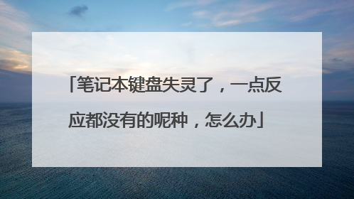 笔记本键盘失灵了，一点反应都没有的呢种，怎么办