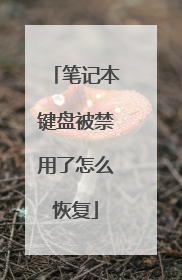 笔记本键盘被禁用了怎么恢复