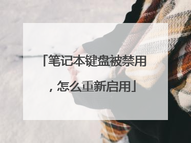 笔记本键盘被禁用,怎么重新启用