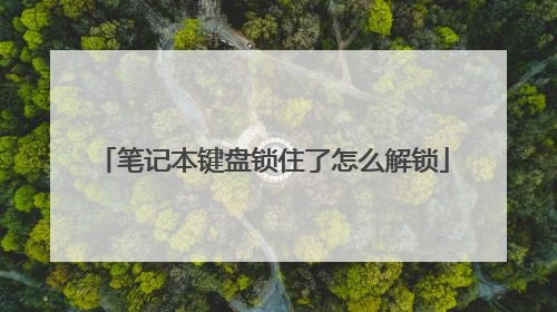 笔记本键盘锁住了怎么解锁