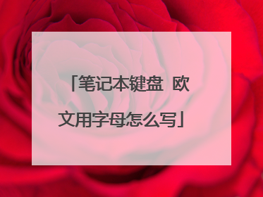 笔记本键盘 欧文用字母怎么写