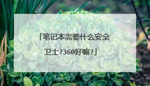 笔记本需要什么安全卫士?360好嘛?