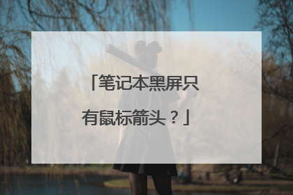 笔记本黑屏只有鼠标箭头？