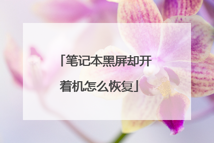 笔记本黑屏却开着机怎么恢复