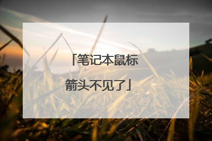 笔记本鼠标箭头不见了