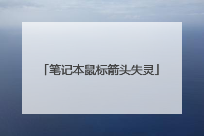 笔记本鼠标箭头失灵