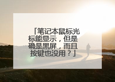 笔记本鼠标光标能显示,但是确是黑屏,而且按键也没用?