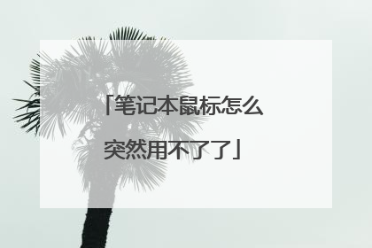 笔记本鼠标怎么突然用不了了