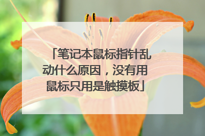 笔记本鼠标指针乱动什么原因，没有用鼠标只用是触摸板