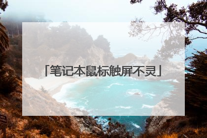 笔记本鼠标触屏不灵