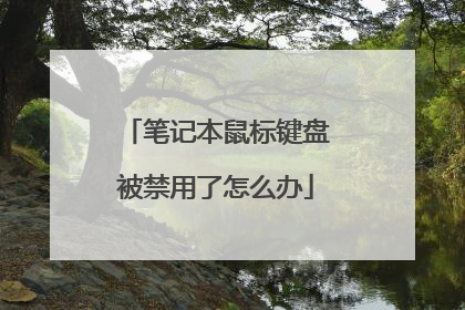 笔记本鼠标键盘被禁用了怎么办