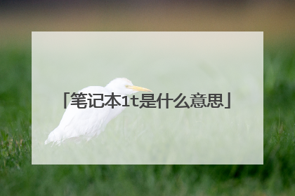 笔记本1t是什么意思