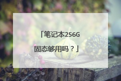 笔记本256G固态够用吗?