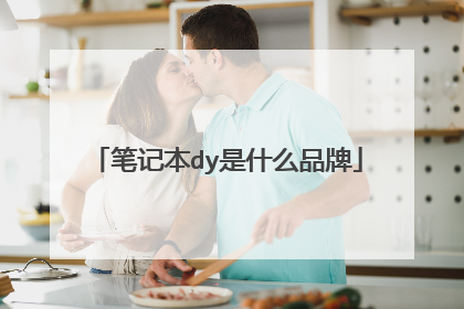 笔记本dy是什么品牌