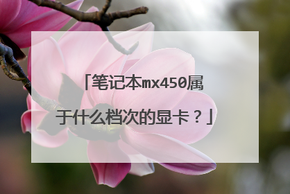 笔记本mx450属于什么档次的显卡？