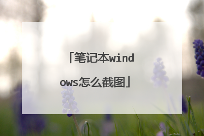 笔记本windows怎么截图