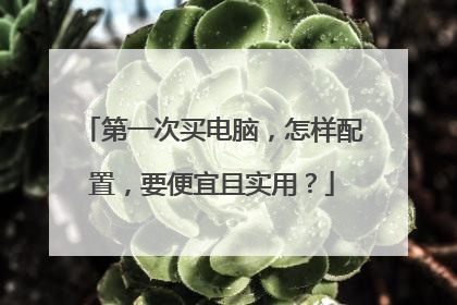 第一次买电脑，怎样配置，要便宜且实用？