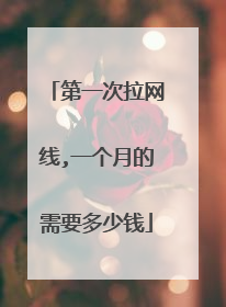 第一次拉网线,一个月的需要多少钱