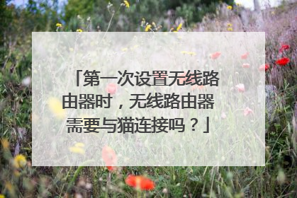 第一次设置无线路由器时，无线路由器需要与猫连接吗？
