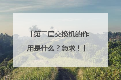 第二层交换机的作用是什么?急求!