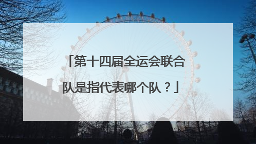 第十四届全运会联合队是指代表哪个队?