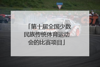 第十届全国少数民族传统体育运动会的比赛项目